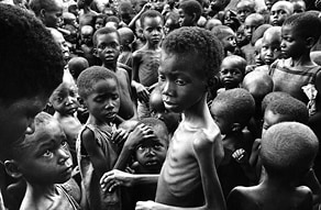 הרעב בביאפרה, 1968 צילום Romano Cagnoni, Hulton Archive, Getty Images IL